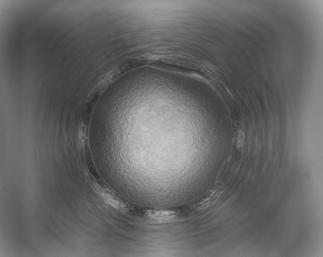 X0000058800476200510171352