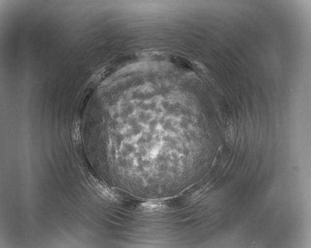 X0000058800477200510171352