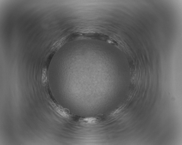 X0000058800478200510171352