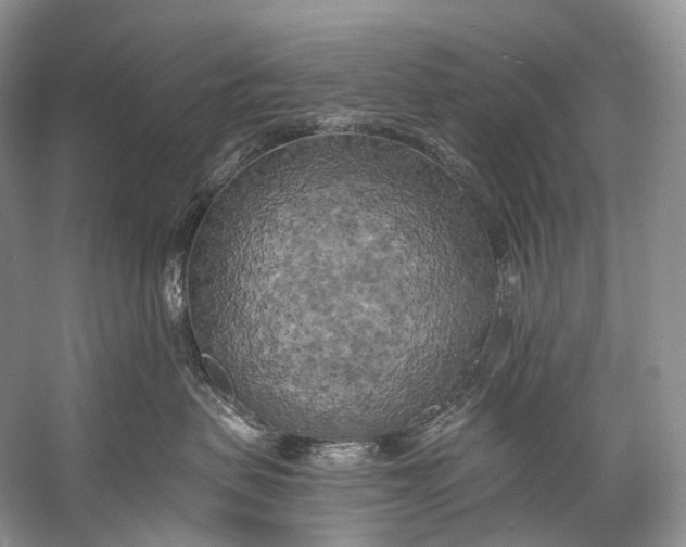 X0000058800479200510171352