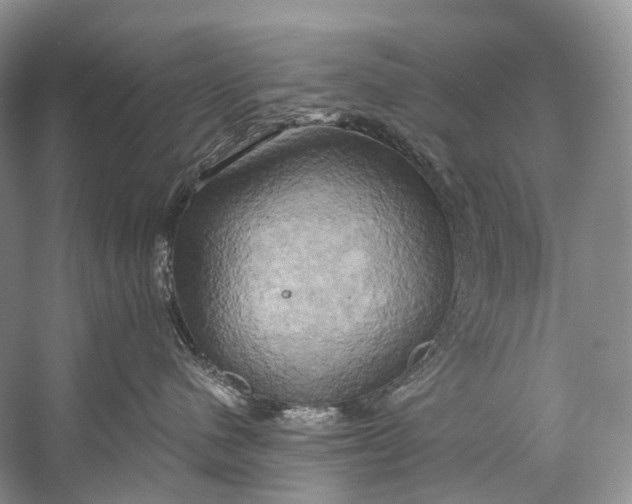 X0000058800480200510171352