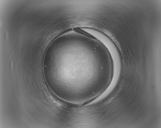 X0000058800481200510171351