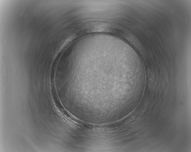 X0000058800482200510171351