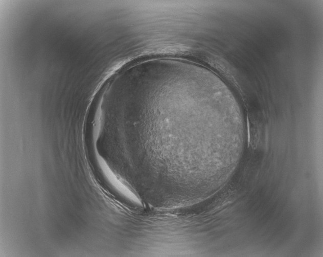 X0000058800483200510171351