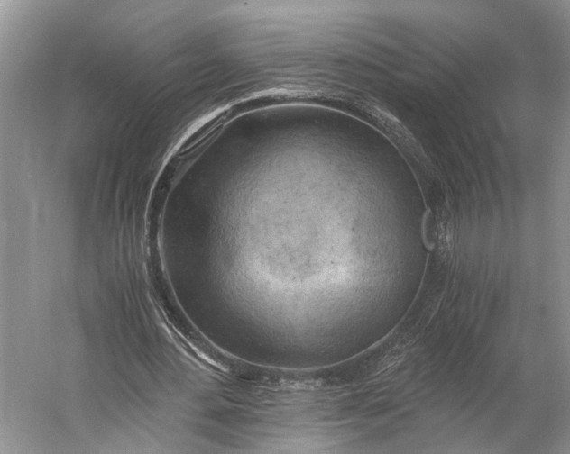 X0000058800484200510171351