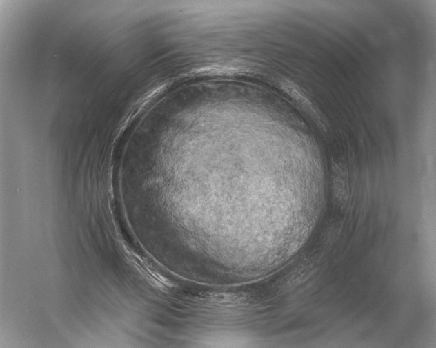 X0000058800486200510171351