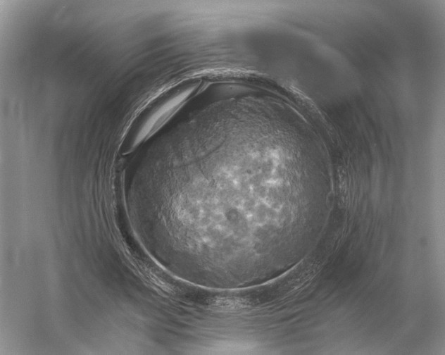 X0000058800487200510171351