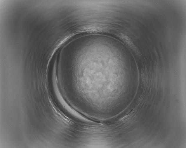 X0000058800488200510171351