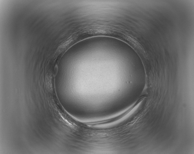 X0000058800489200510171351