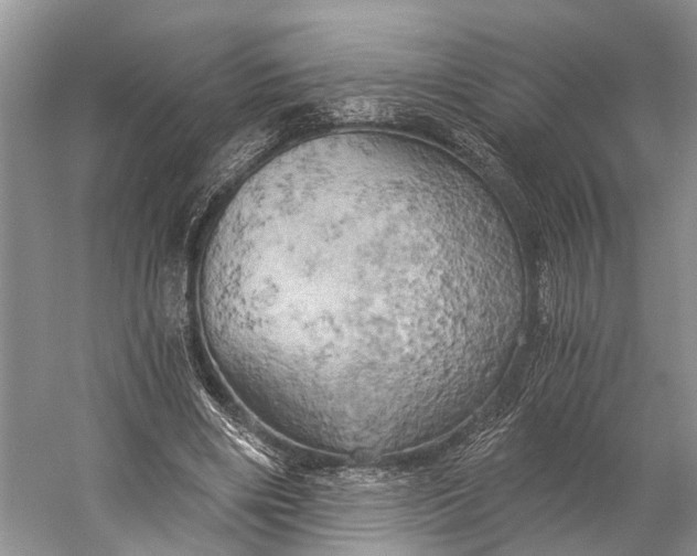 X0000058800490200510171351