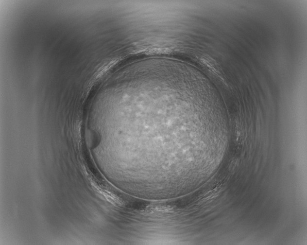 X0000058800491200510171351