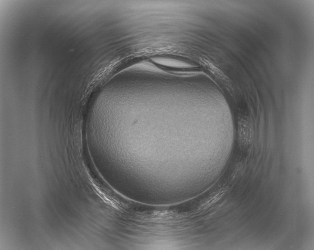 X0000058800493200510171351