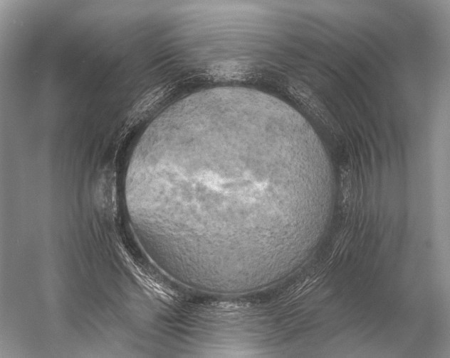 X0000058800494200510171351