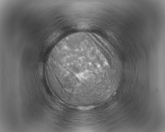 X0000058800495200510171351