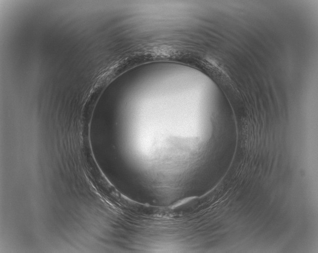 X0000058800496200510171351