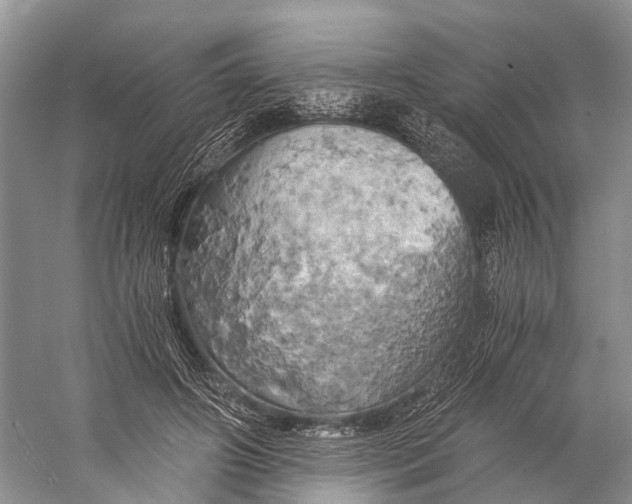 X0000058800498200510171351