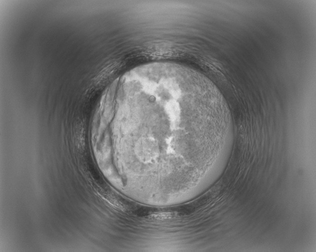 X0000058800499200510171351