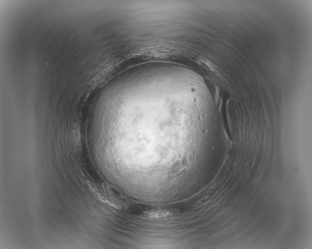 X0000058800500200510171351