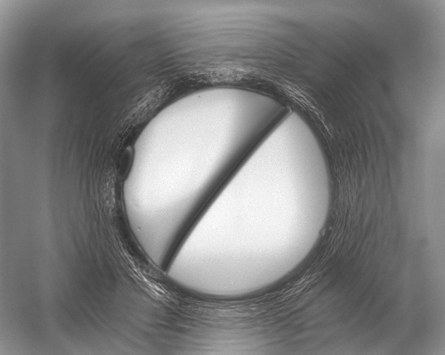 X0000058800501200510171351