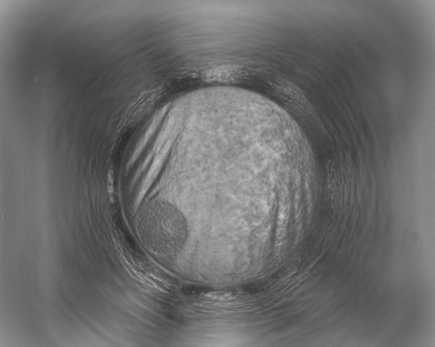 X0000058800502200510171351