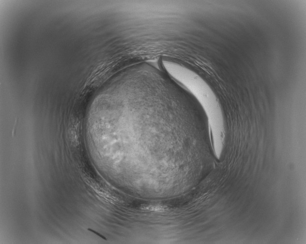 X0000058800503200510171350