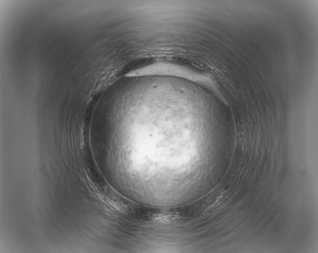 X0000058800504200510171350