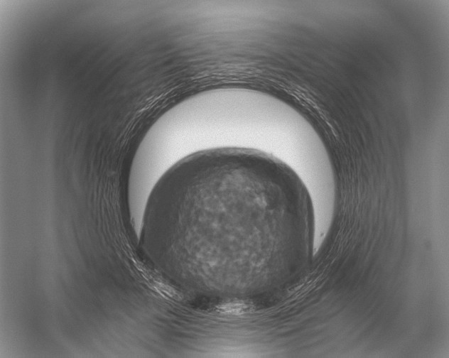 X0000058800505200510171350