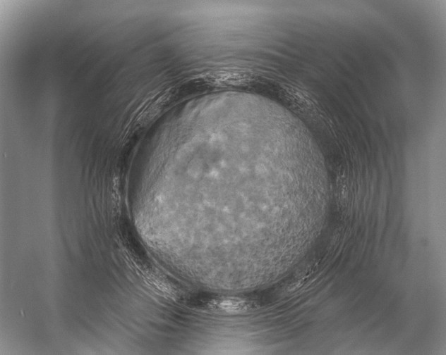 X0000058800506200510171350