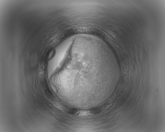 X0000058800507200510171350