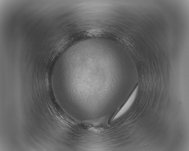 X0000058800508200510171350