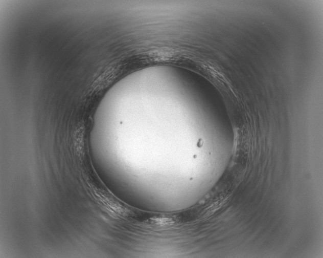 X0000058800509200510171350