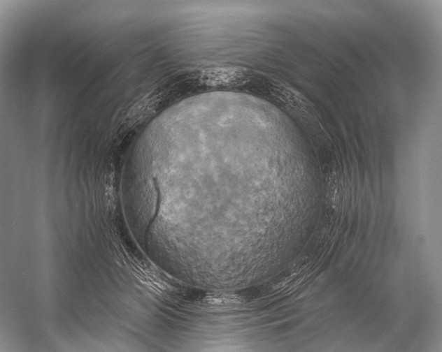 X0000058800510200510171350