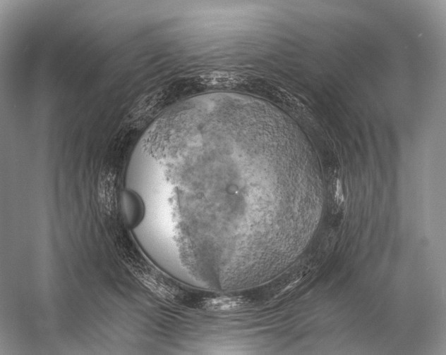 X0000058800511200510171350