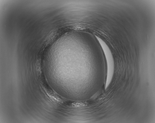 X0000058800512200510171350