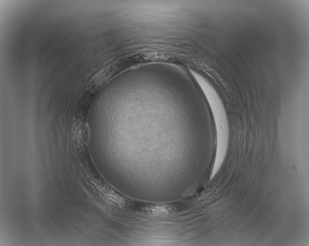 X0000058800513200510171350