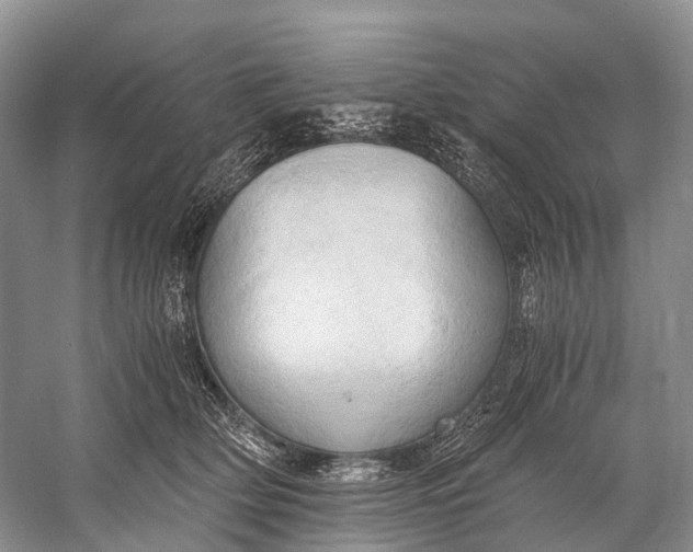 X0000058800514200510171350