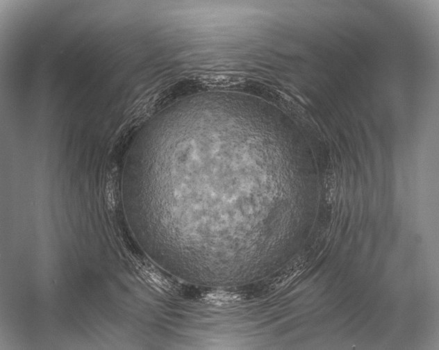 X0000058800515200510171350