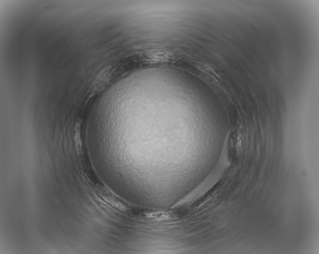 X0000058800516200510171350