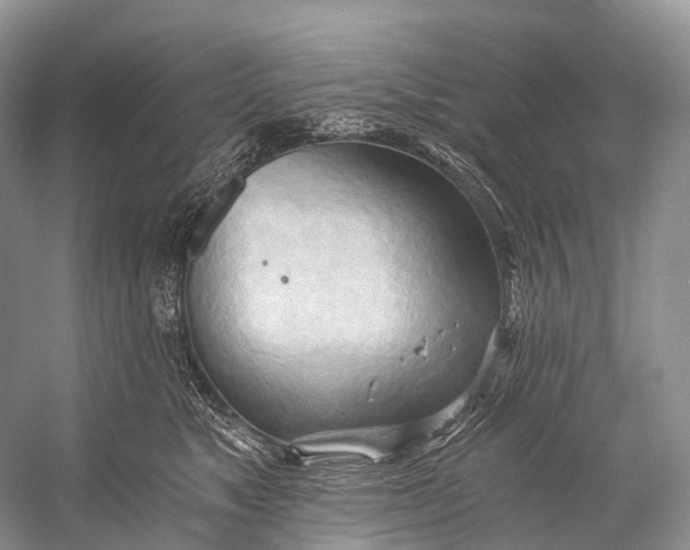 X0000058800517200510171350