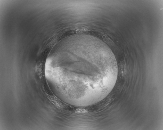 X0000058800519200510171350