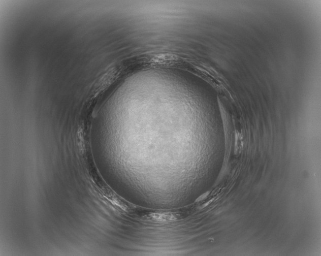 X0000058800520200510171350