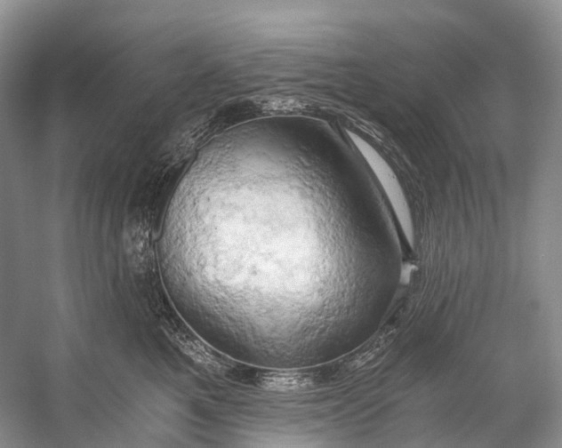 X0000058800521200510171350