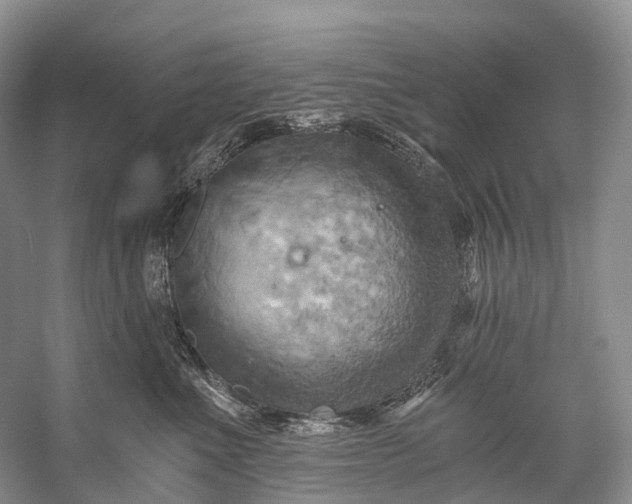 X0000058800523200510171350