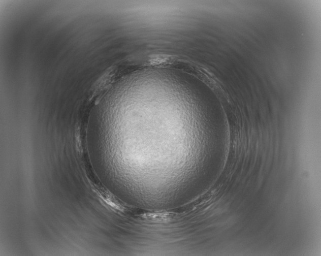 X0000058800524200510171350