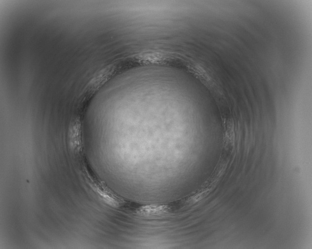 X0000058800526200510171350