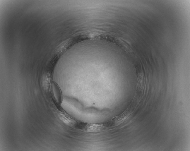 X0000058800527200510171350