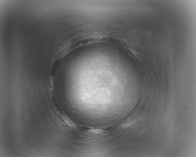 X0000058800528200510171350