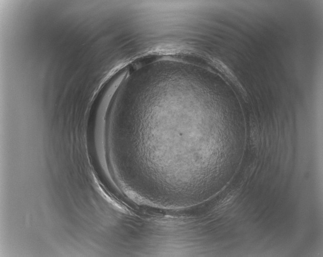 X0000058800530200510171349