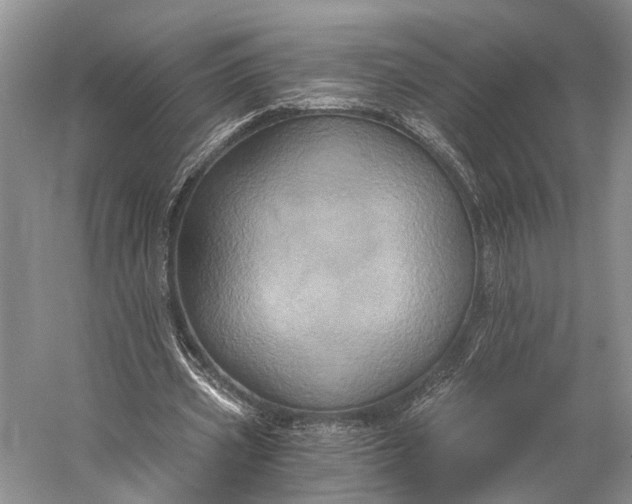 X0000058800533200510171349