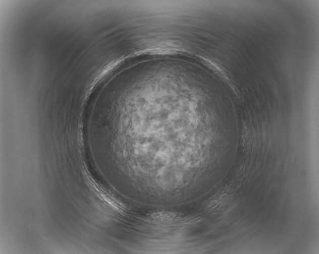 X0000058800535200510171349